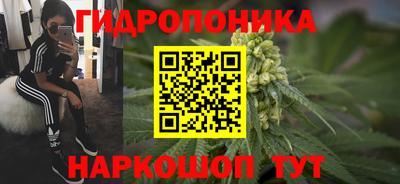 дживик Лесосибирск