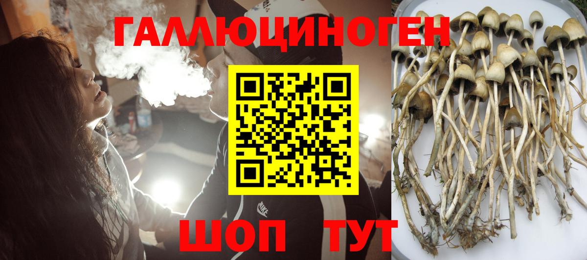 Псилоцибиновые грибы Cubensis  дарнет шоп  Уссурийск  Вход с VPN 